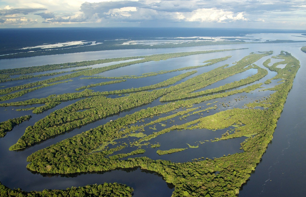 Najstarsze lasy na Ziemi mogły porastać obszary takie jak współczesne dorzecze Amazonki
